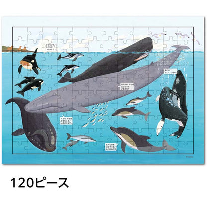 兒童向 - 哈肯拼圖海洋 Step 3  48/80/120塊 (29×21.5×5cm)