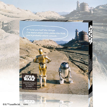 星球大戰 - R2-D2 & C-3PO 套裝 144塊 (24×24cm)