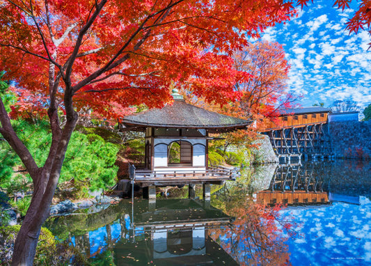 日本風景 - 和歌山 西之丸庭園 500塊 (38×53cm)