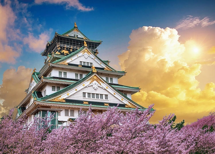 日本風景 - 櫻花與大阪城 500塊 (38×53cm)