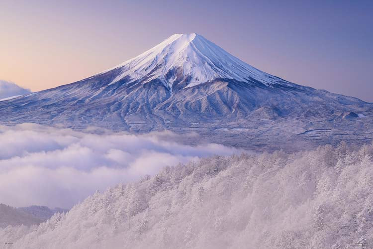 日本風景 - 在白雪下的山梨縣眺望富士山 1000塊 (50×75cm)