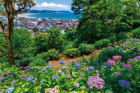 日本風景 - 神奈川繡球花和由比濱 1000塊 (50×75cm)