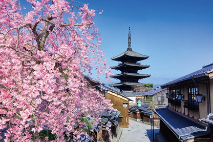 日本風景 - 櫻花與八重塔 1000塊 (50×75cm)