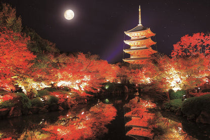 日本風景 - 紅葉之夜京都東寺 1000塊 (50×75cm)