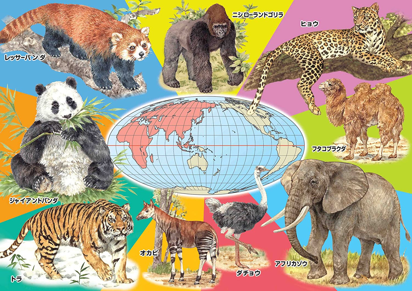兒童向 - KUMON STEP 5 動物家族 96/117/140塊
