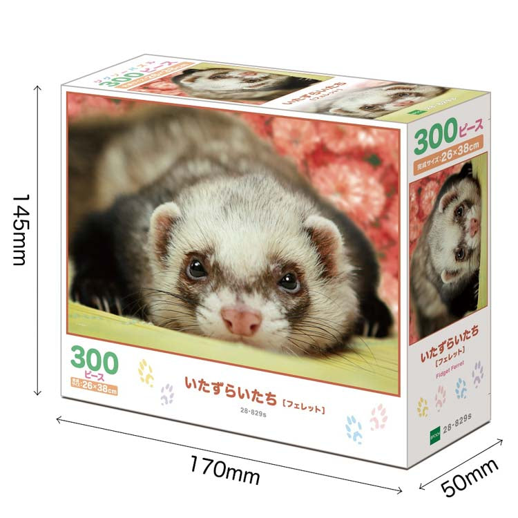 動物類 - 可愛的貂鼠 300塊 (26×38cm)