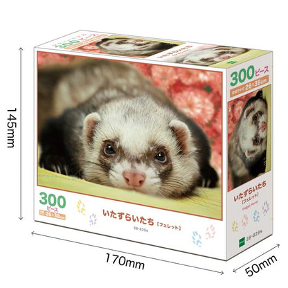 動物類 - 可愛的貂鼠 300塊 (26×38cm)