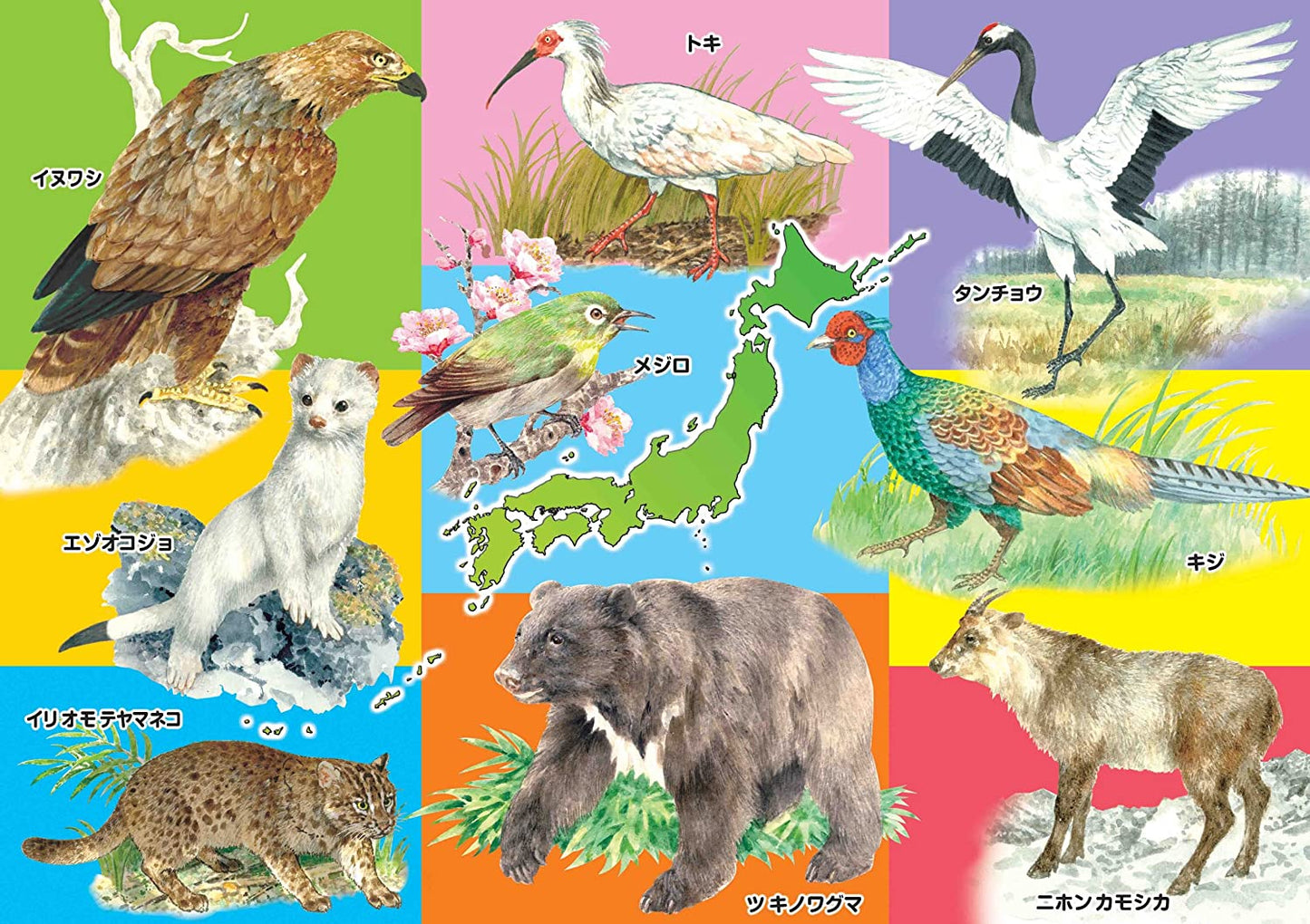 兒童向 - KUMON STEP 5 動物家族 96/117/140塊