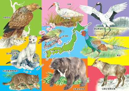 兒童向 - KUMON STEP 5 動物家族 96/117/140塊