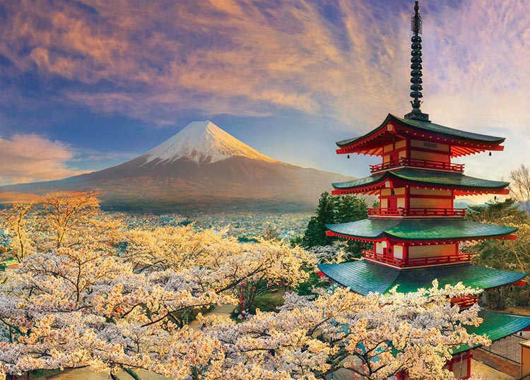 日本風景 - 被傍晚櫻花染紅的富士和淺間神社 600塊 (38×53cm)