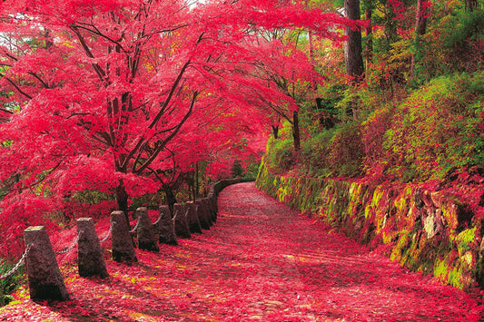 (迷你尺寸) 日本風景 - 吉野山之紅葉景 2016塊 (50×75cm)