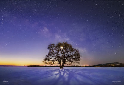 (夜光) 日本風景 - 天川下的大樹 300塊 (26×38cm)
