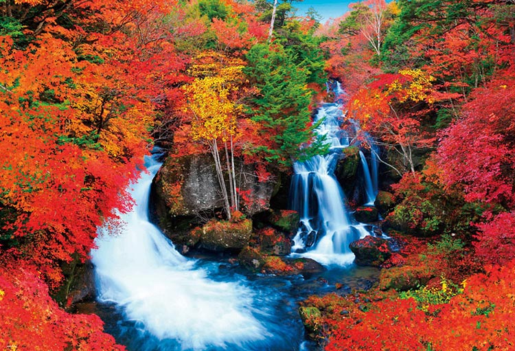 日本風景 - 秋之瀑布紅葉 1000塊 (49×72cm)