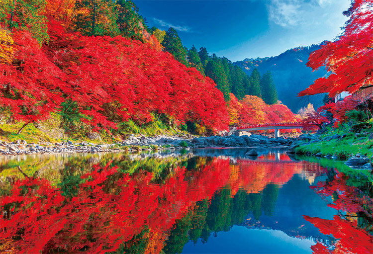 日本風景 - 秋晴之香嵐溪 1000塊 (49×72cm)