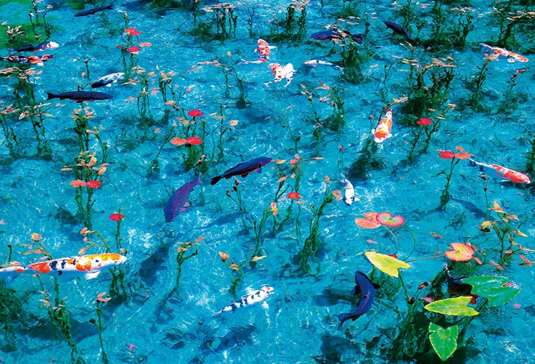 日本風景 - 莫奈的池塘 300塊 (26×38cm)