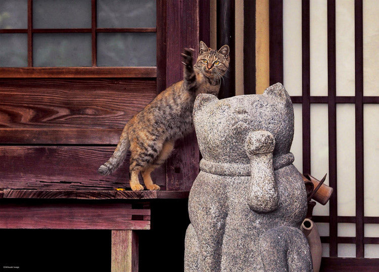 岩合光昭 - 京都的貓 500塊 (38×53cm)