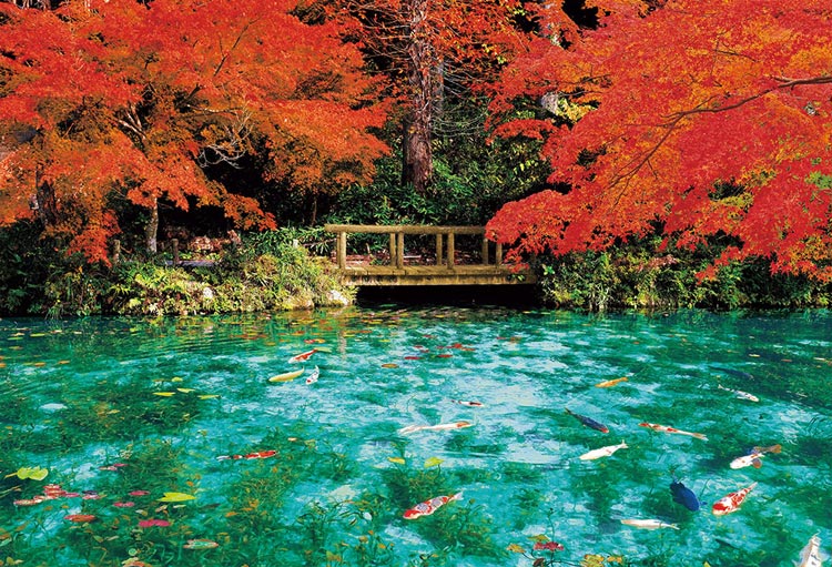 日本風景 - 秋天顏色的莫奈池塘 1000塊 (49×72cm)