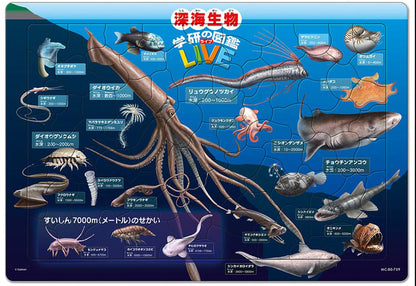 兒童向 - 深海生物 學研的圖鑑 LIVE 80塊 (26×37.5cm)