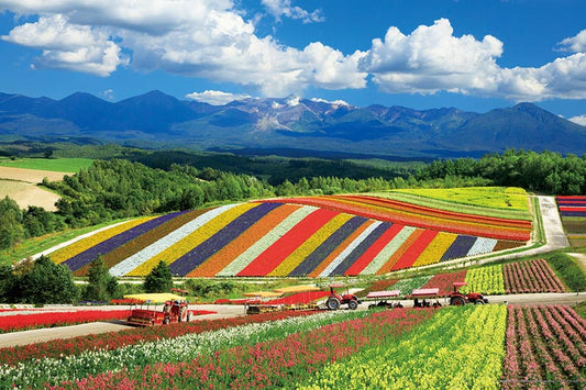 日本風景 - 四季彩之丘和十勝嶽山脈 1000塊 (50×75cm)