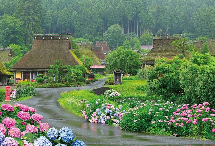 日本風景 - 繡球花盛開的美山町 1000塊 (49×72cm)