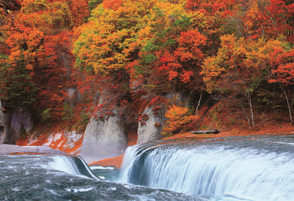 日本風景 - 群馬縣的紅葉瀑布 300塊 (26×38cm)