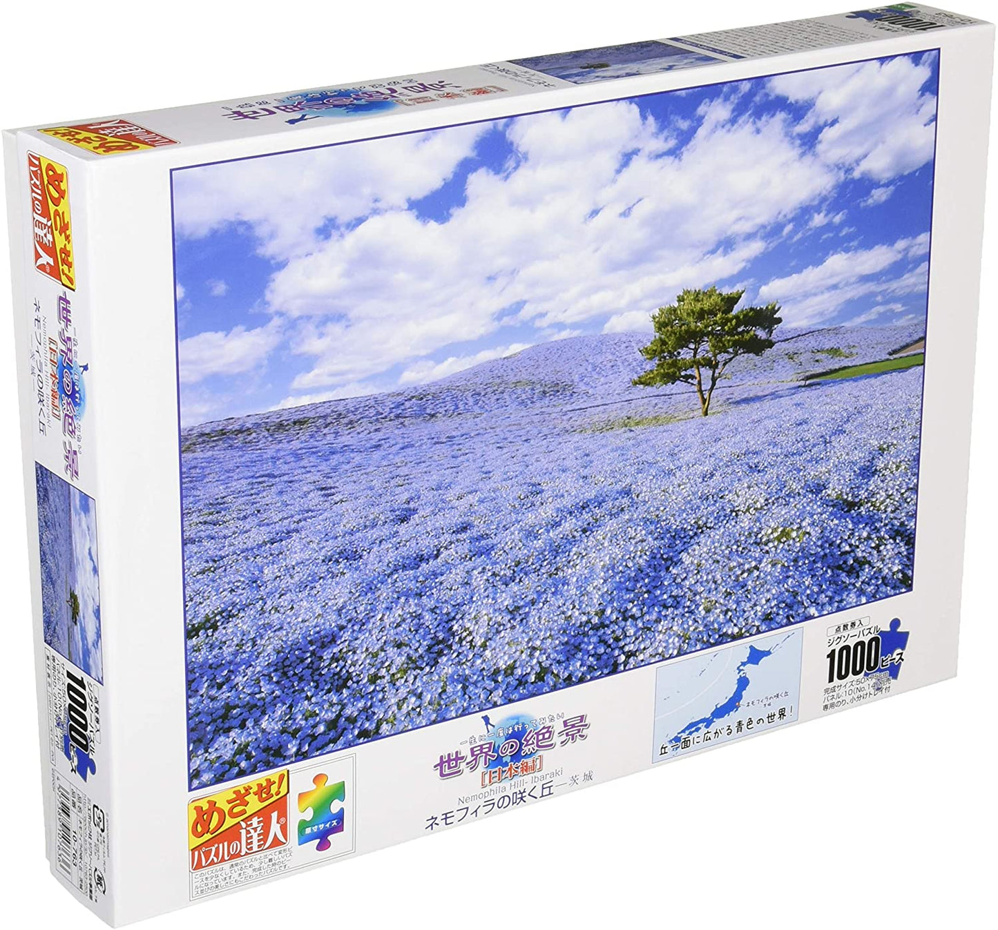 日本風景 - 茨城的紫色薰衣草 1000塊 (50×75cm)