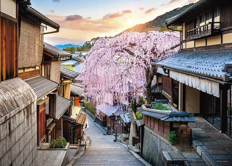 日本風景 - 日落和垂枝櫻花 500塊 (38×53cm)