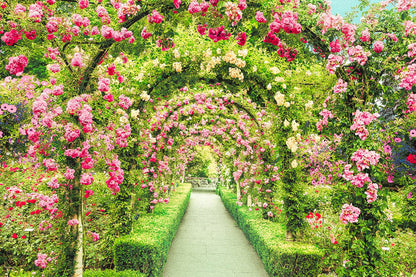 (迷你尺寸) 加拿大風景 - 布查德花園 2016塊 (50×75cm)