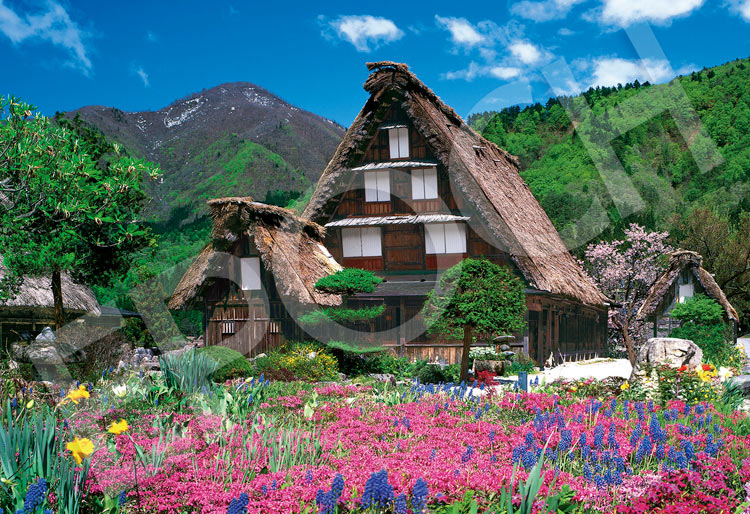 (迷你尺寸) 日本風景 - 鮮花盛開的白川鄉 1053塊 (26×38cm)