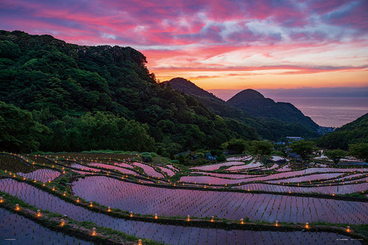日本風景 - 靜岡石部梯田蠟燭之夜 1000塊 (50×75cm)