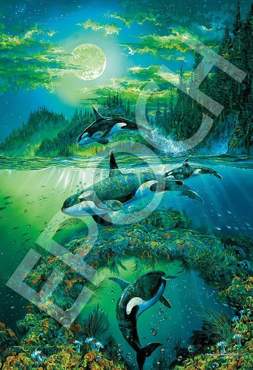 (夜光) Robert Lyn Nelson - 海洋之魂 300塊 (26×38cm) – Puzzle N Toys