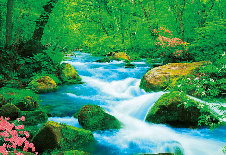 日本風景 - 十和田湖山間溪流 300塊 (26×38cm)