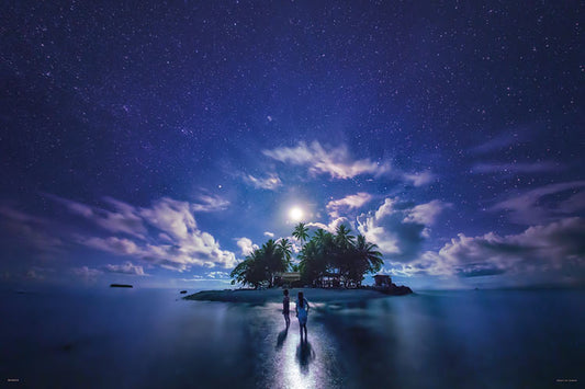 (夜光) 美國風景 - 南島之月夜 1000塊 (50×75cm)