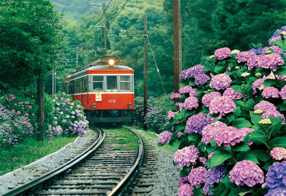 日本風景 - 箱根登山電車鐵道 300塊 (26×38cm)