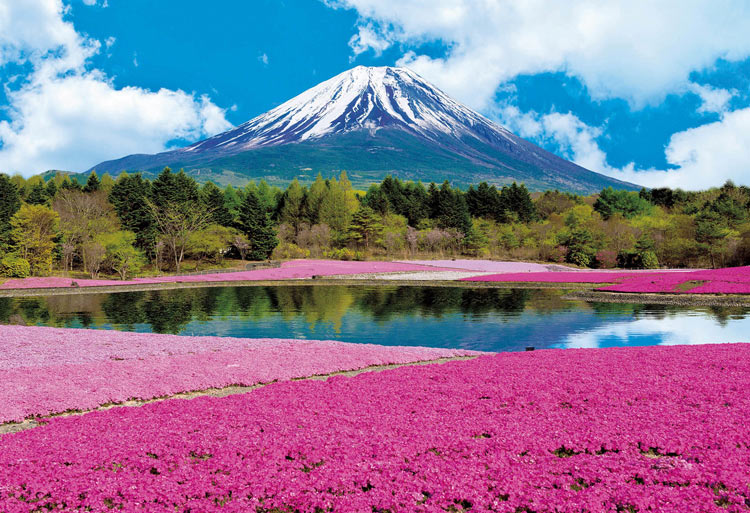(迷你尺寸) 日本風景 - 粉紅富士1053塊 (26×38cm)