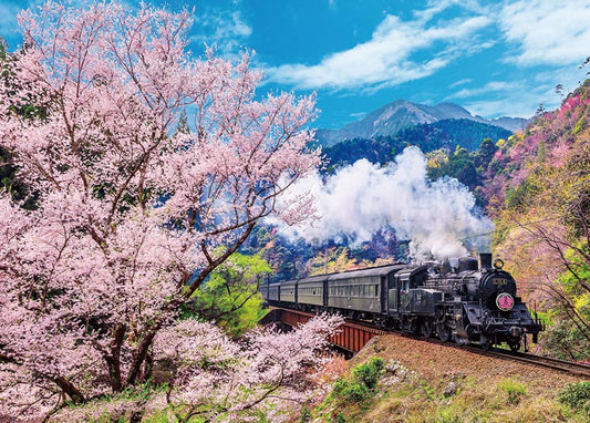 日本風景 - 大井川鐵路和櫻花 600塊 (38×53cm)