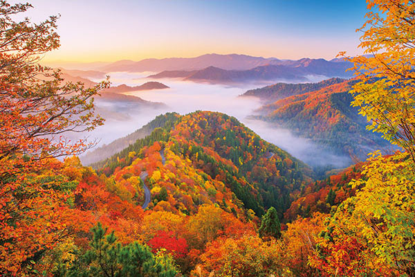 日本風景 - 秋天紅葉之道路 1000塊 (50×75cm)
