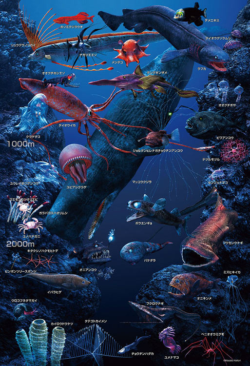 (特大尺寸) 海洋世界 - 深海生物 150塊 (26×38cm)